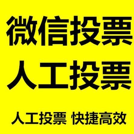 德州市投票活动拉票能被查出来吗？如何操作能不被发现？